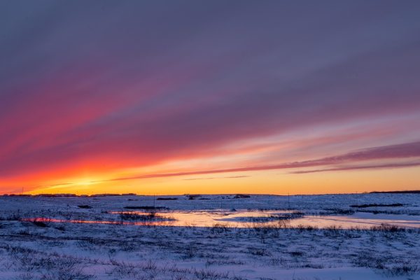 arctic landscape