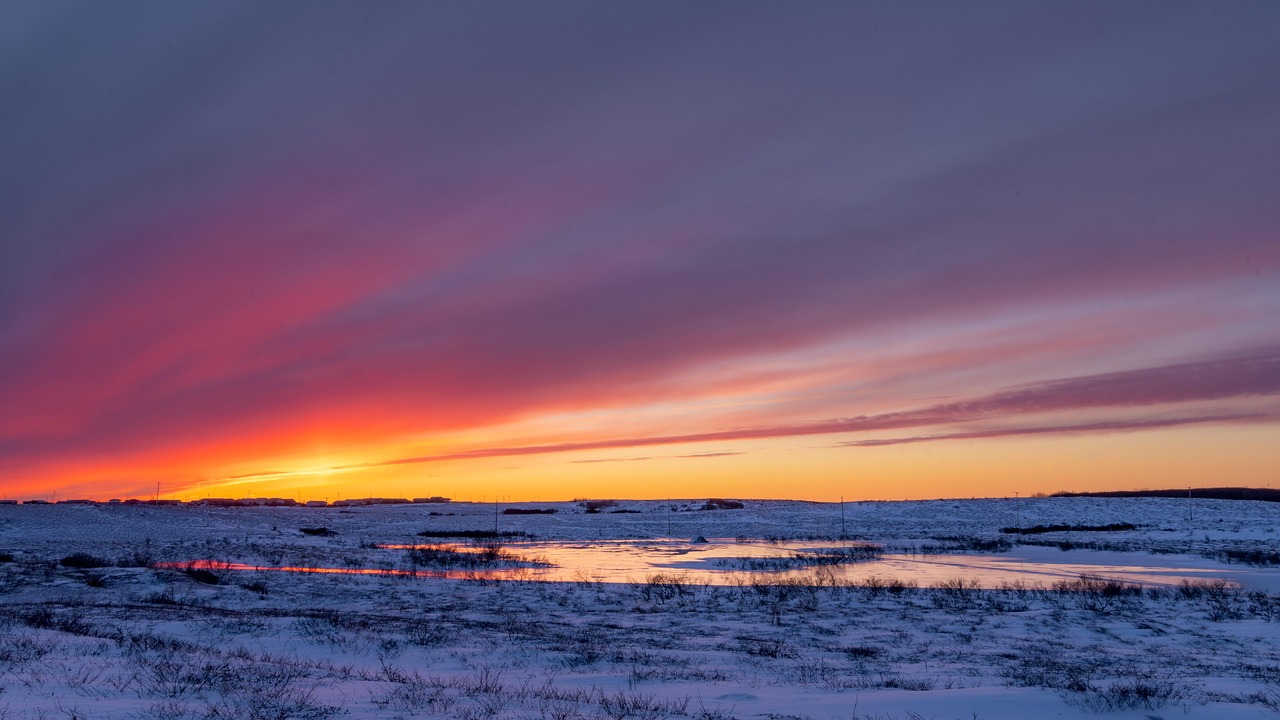 arctic landscape