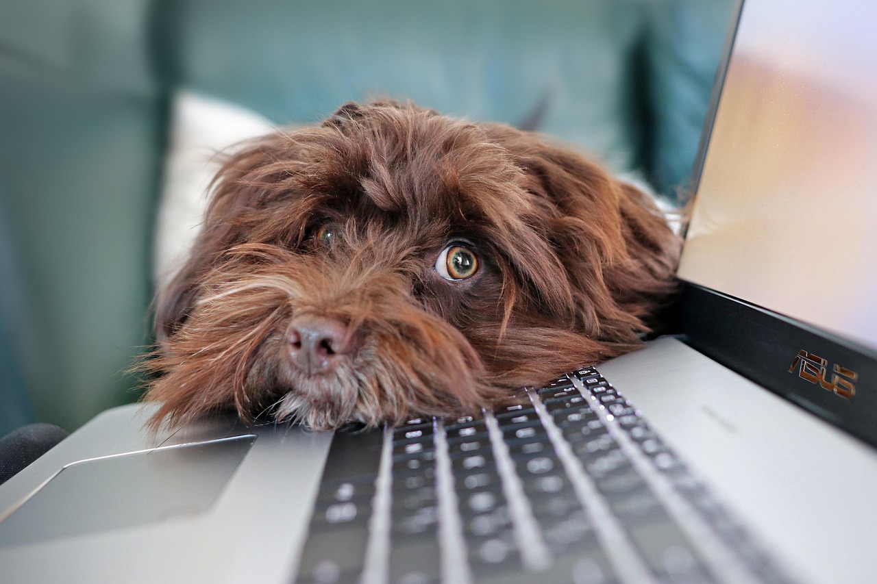 laptop keyboard
