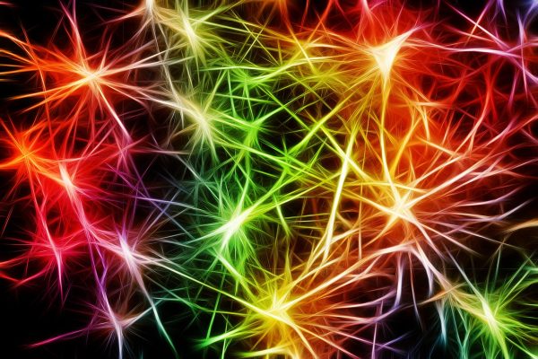 neural network diagram